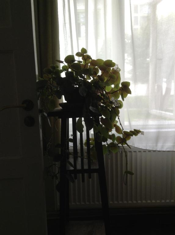 Kastani Home Accommodation Tartu Buitenkant foto